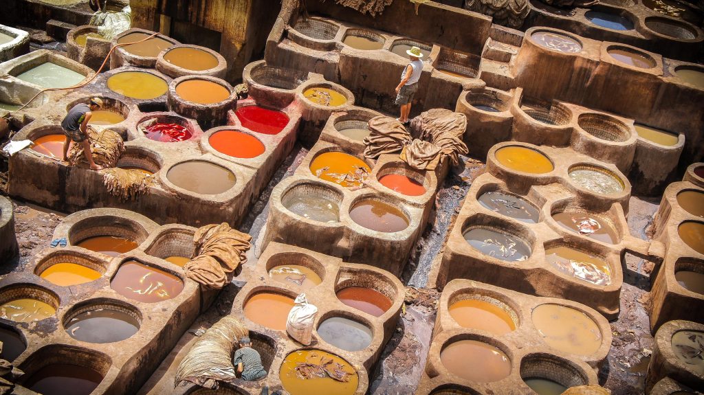arabic immersion experience : Fes tanneries
